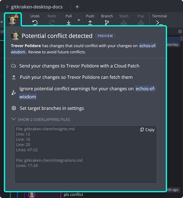 Shows the expanded conflict detection window, but with the overlapping changing section expanded to show which lines are conflicted